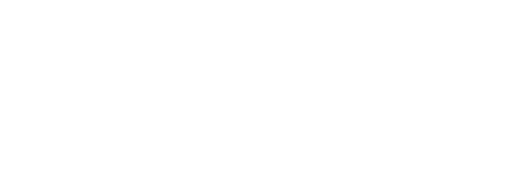 ESVM