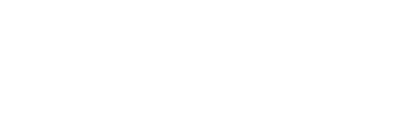 ESVM